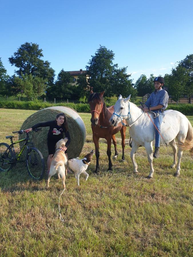 La Diligenza Bed & Breakfast Tagliolo Monferrato Eksteriør bilde